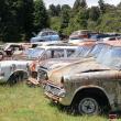 image vintage-car-museum-0591.jpg