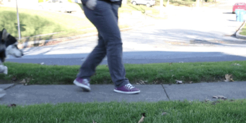 Derby, the Adorable Cybernetic Dog, Just Got Upgraded 3D-Printed Legs