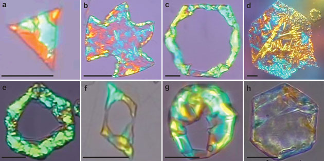 These Freezing Drops of Oil Are Hypnotically Beautiful