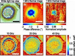 Scientists Give Themselves Predator Vision to View the Inner Workings of Single Cells