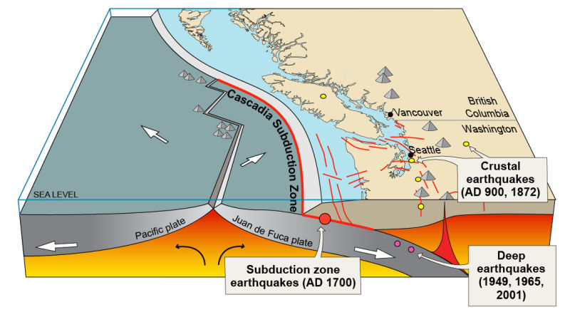 A Pair of Tremors Highlight the Different Types of West Coast Earthquakes