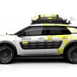 image citroen-c4-cactus-aventure-004.jpg