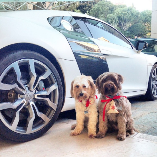 R8