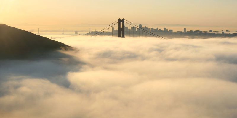 There's Mercury in Californian Fog