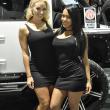 image sema-2015-babes-028.jpg