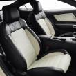 image Ford-Mustang-50-Year-Limited-Edition-2014-009.jpg