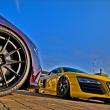 image Audi-collectie-invalide-instagrammer-16.jpg