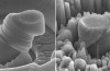 Nye Magnesium Kompositt Har ‘Rekord’ Styrke-til-Vekt-Forhold