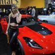 image sema-2015-babes-014.jpg