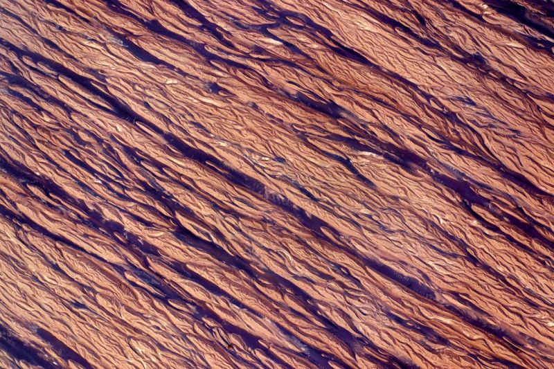 These Are Our Favorite Earth Images of 2015