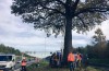 The reason that this tree for long files ensures