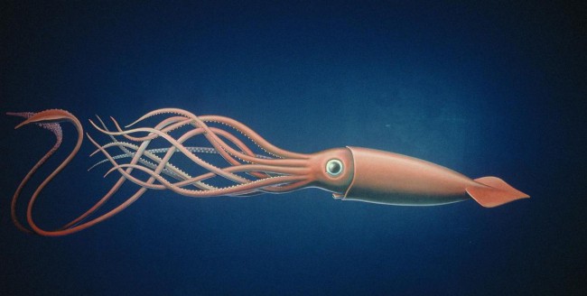 Giant_Squid_art_carousel_D1000088