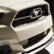 image Ford-Mustang-50-Year-Limited-Edition-2014-015.jpg