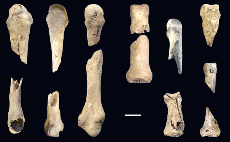 6,000 Year Old Death Pit Points to One Hell of a Brawl