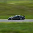 image vossen-vle-1-velgen-0012.jpg