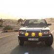 image mercedes-300se-desert-spec-007.jpg