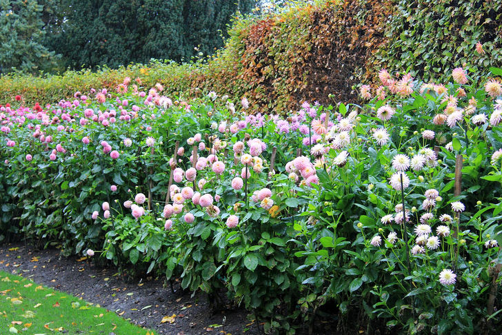 Image titled Anglesey Abbey (NT) 27_10_2012