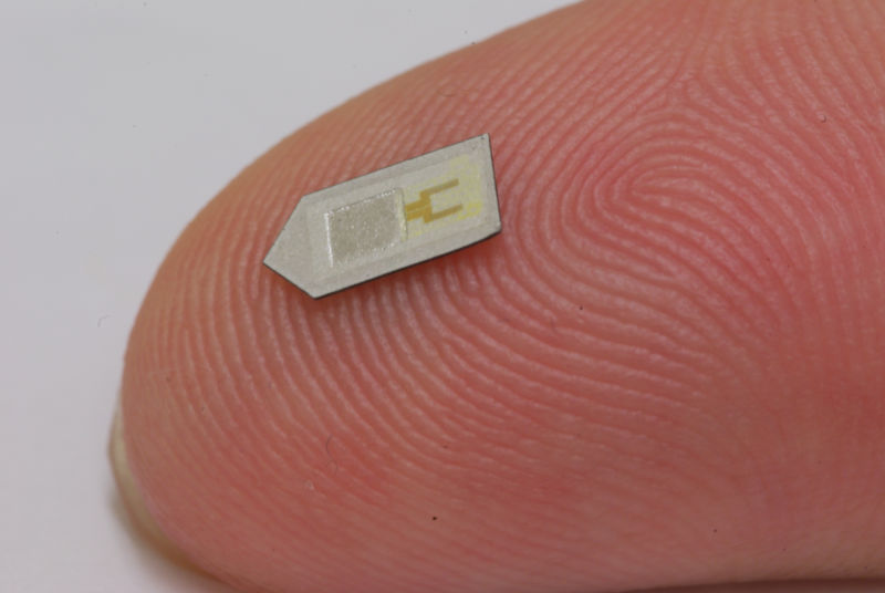 This Silicon Chip Will Monitor Your Brain and Dissolve in Your Body