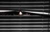 Death sentences in Kuwait for espionage to Iran