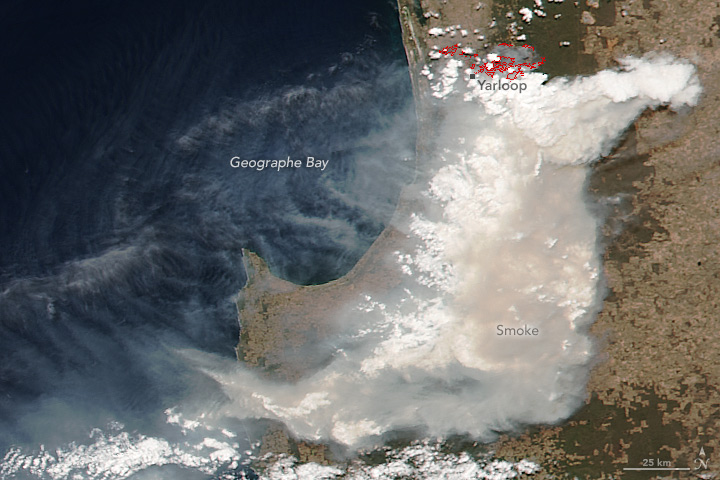 Remember That Crazy Wildfire Season the US Just Had? Now Australia's Having One.