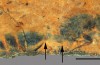 A Fossilized Ancient Ant Queen Emerges From a 46-Million-Year-Old Rock