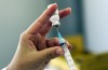 Il Primo al Mondo il Vaccino per la Febbre Dengue È Venuta a Tre Paesi