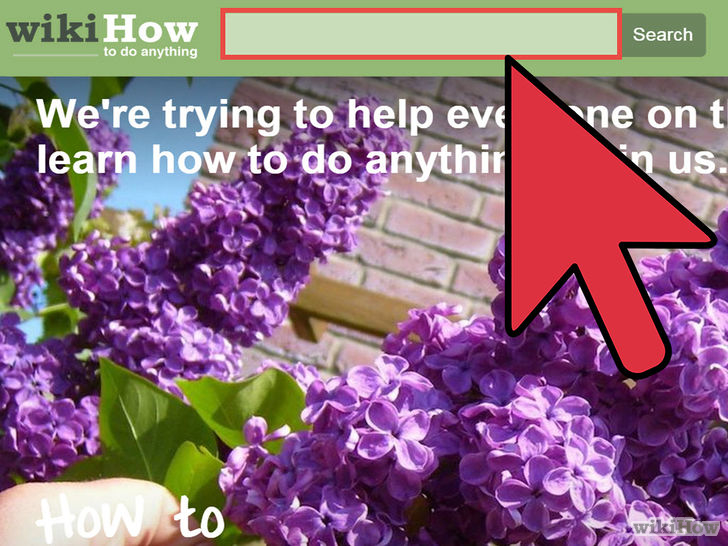 Image titled Add an Image to a UIB Step 3