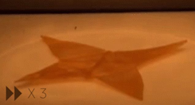 A Clever Material Can Remember Hundreds of Past Shapes