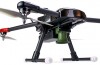 Et Fugleskremsel Er Ingen Match for Denne Fuglen-Stalking-Drone