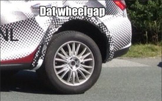 Wielgat