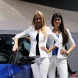 image skoda-fabia-2990.jpg