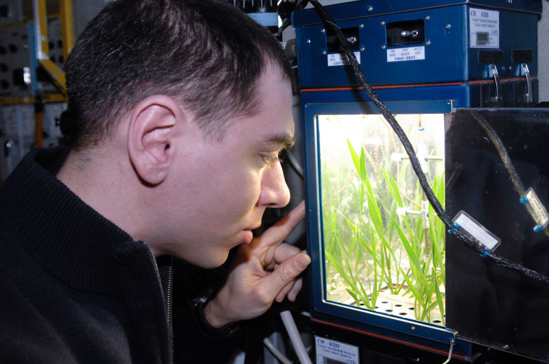The First Space Flower Bloomed Decades Ago, Not This Week
