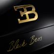 image Bugatti-Veyron-Black-Bess-08.jpg