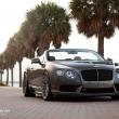 image Bentley-Continental-GTC-velgpron-004.jpg