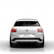 image Citroen-C4-Cactus-2L-013.jpg