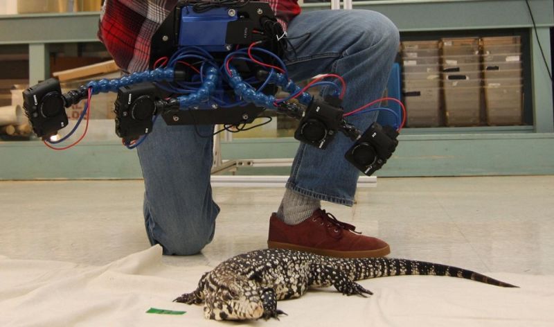 Researchers Want To 'Build' Their Own 3D Shark with Beastcam