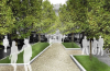 Madrid Forbud Biler, Planer Planter
