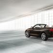 image bmw-4-serie-cabrio-f33-039.jpg