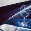 image Mercedes_Benz_600_zwart_radiatordop.jpg