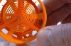 Il Primo Stampato in 3D Orologio Meccanico È un Intricato di Plastica Capolavoro