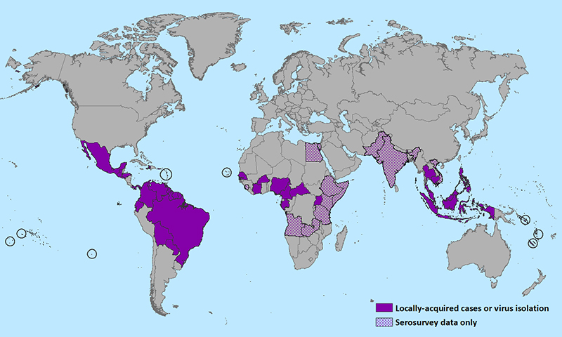 Zika Virus Outbreak Prompts CDC to Expand Travel Advisory