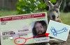 A penis as a signature on your driver’s license, is that allowed?