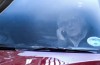 Video: Bernie Ecclestone in his Ferrari F12Berlinetta