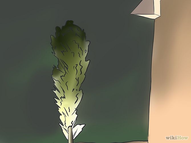 Image titled Accent Trees With Outdoor Lighting Step 3
