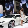 image lamborghini-babe-3120.jpg