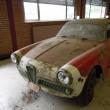 image alfa-barnfind-09.jpg