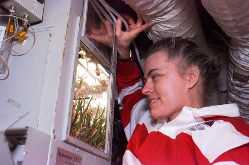 The First Space Flower Bloomed Decades Ago, Not This Week