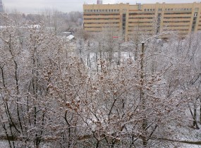 Снимок основной камерой HTC One A9