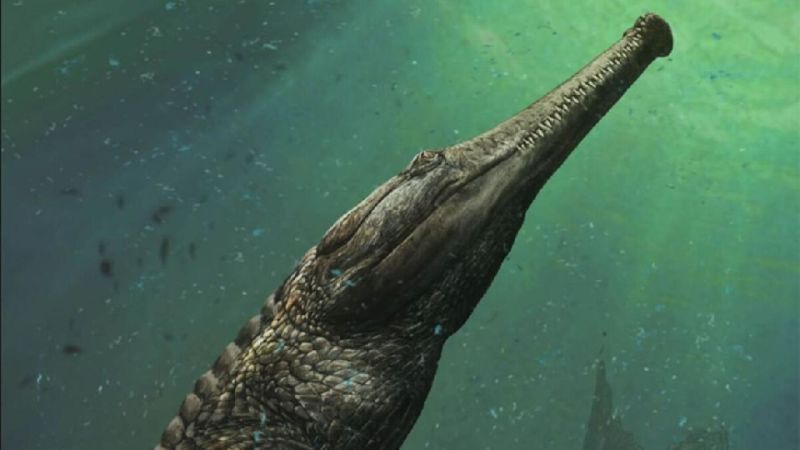 Imagine Getting Your Bones Crushed By This Bus-Sized Crocodile 