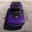 image Dodge-Challenger-Charger-plum-005.jpg